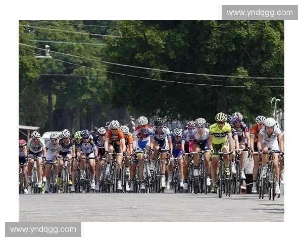 全面提升大型体育赛事后勤保障与资源统筹优化策略探索路径研究