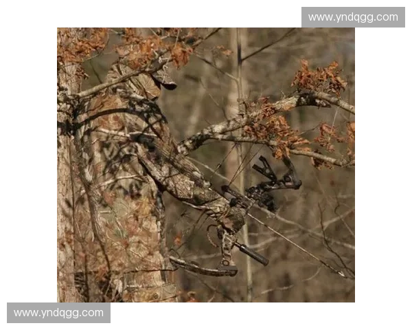 战术伪装在现代军事中的应用与发展趋势分析