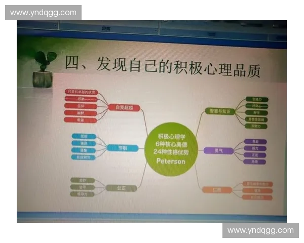 基于运动心理学视角的竞技表现与心理调控机制研究模型构建分析