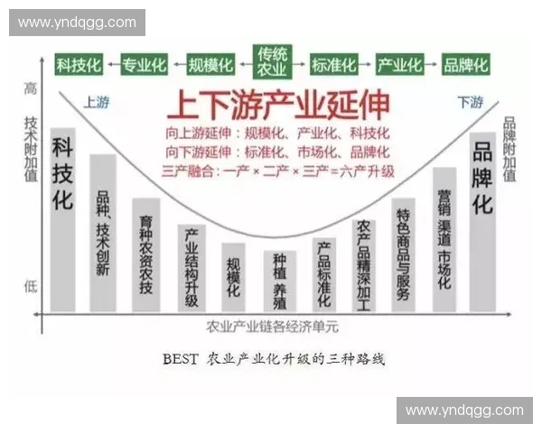 体育活动品牌化路径探索与实践:提升品牌价值与市场影响力的策略分析 体育活动品牌化路径探索与实践:提升品牌价值与市场影响力的策略分析