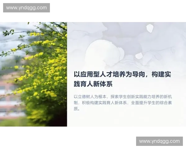 构建多层次体育人才计划推动竞技教育产业协同创新发展新格局实践