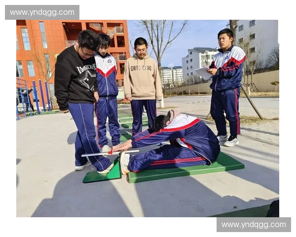 体测指标全面解析与学生健康状况评估研究 体测指标全面解析与学生健康状况评估研究